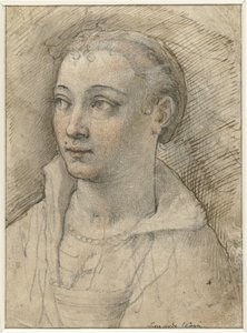 Portrait of an Unknown Woman