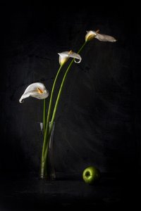 Calla Lilies And Apple