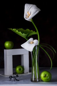 Calla Lilies Green Apples by Felice Angelino