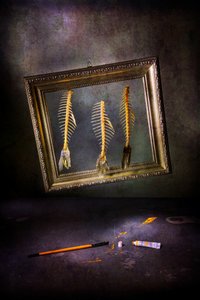 Creative Fishbone Still Life by Felice Angelino
