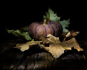 Dark Autumn Pumpkin by Felice Angelino