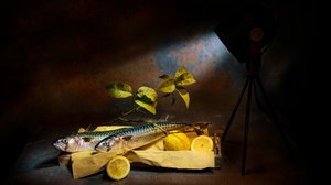Dramatic Mackerel Still Life by Felice Angelino