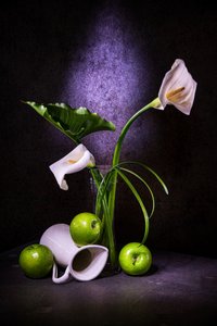 Elegant Calla Lilies and Green Apples