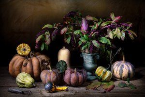 Moody Autumn Harvest