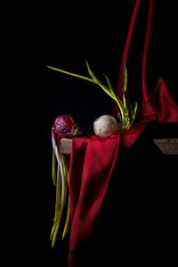 Moody Sprouting Onions