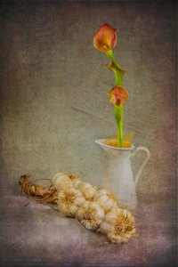 Rustic Garlic Calla Lilies by Felice Angelino