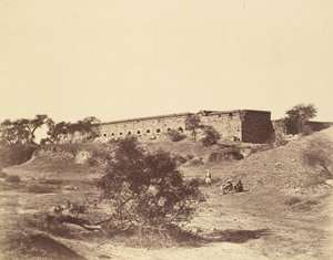 Metcalfe Stables Picquet