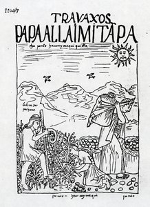 The Month of June, Harvesting the Potatoes by Felipe Huaman Poma de Ayala