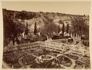 Garden of Gethsemane