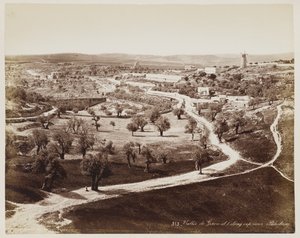 Valley of ... Palestine #313 by Félix Bonfils