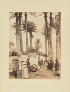 Arab Village on the Banks of the Nile