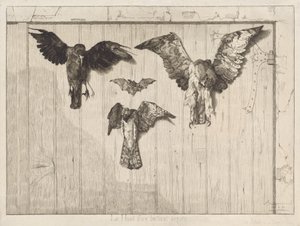Birds Nailed to a Barn Door by Felix Bracquemond