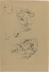 Chicks by Felix Bracquemond