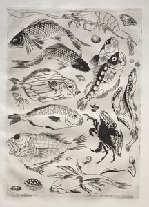 Dinner Service (Rousseau service): Fish (no. 24) by Felix Bracquemond