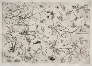 Dinner Service (Rousseau service): Flowers and Insects (no. 15) by Felix Bracquemond