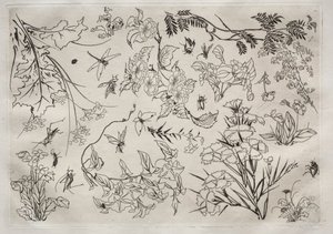 Dinner Service Rousseau Service: Flowers No. 22 by Felix Bracquemond