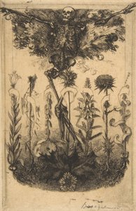 Frontispiece for Les Fleurs du Mal, 1857 by Felix Bracquemond
