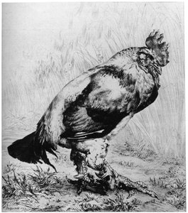 La Coq