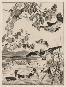 Lapwings and Teals, 1862
