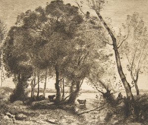 The Lake by Felix Bracquemond