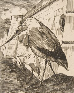 The Storks