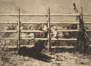 Sheep in a Pen, 1856