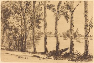 Poplars Along the Seine by Felix Bracquemond