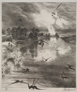 Swallows by Felix Bracquemond