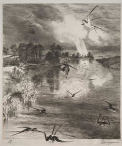 Swallows by Felix Bracquemond