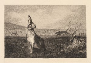 The Hare