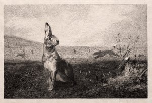 The Hare