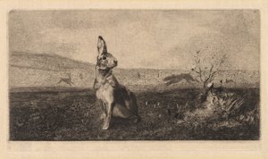 The Hare