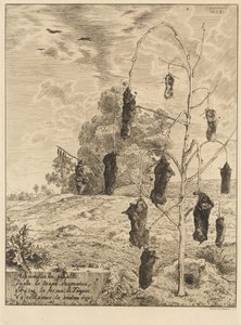 The Moles by Felix Bracquemond