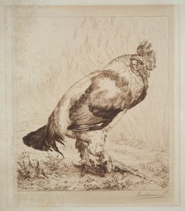 The Old Cock