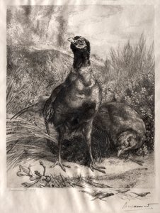 The Pheasants