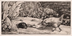 The Unknown by Felix Bracquemond