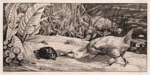 The Unknown by Felix Bracquemond