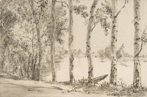 Trembles on the Banks of the Seine, ca. 1884 by Felix Bracquemond