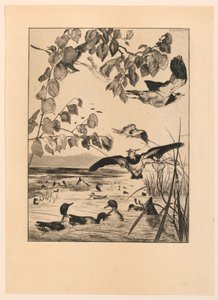 Lapwings and Teal by Felix Bracquemond