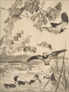 Lapwings and Teals by Felix Bracquemond