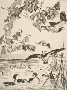 Lapwings and Teals by Felix Bracquemond
