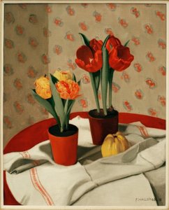 Two Pots of Red and Yellow Tulips