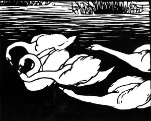 Swans, 1892 by Felix Edouard Vallotton