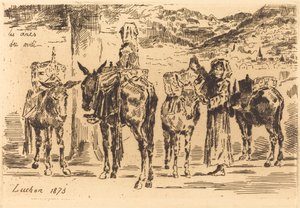 Leaves of Donkeys from the South
