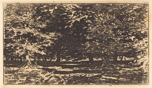Forest by Felix Hilaire Buhot