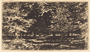 Forest by Felix Hilaire Buhot