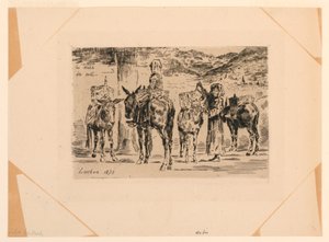 The Donkeys of the South by Felix Hilaire Buhot