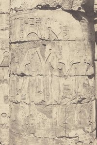 Karnak (Thebes), Hypostyle Hall, Central Colonnade, Decoration of a Column, 1853 by Félix Teynard