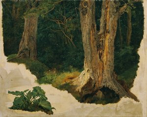 Tree Study by Ferdinand Georg Waldmuller