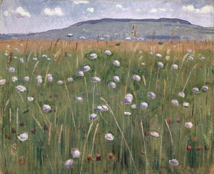 Meadow Piece, c.1901